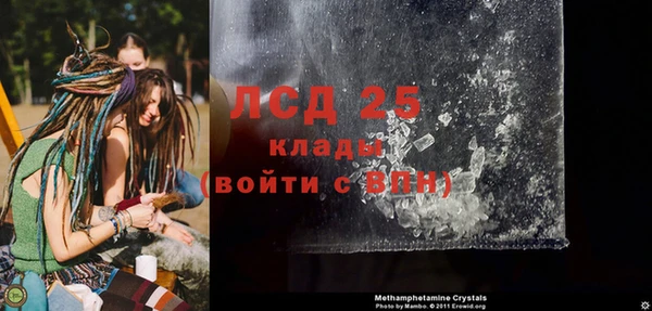 гидра Михайловка