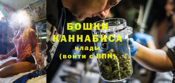 гидра Михайловка