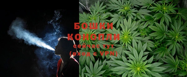 PSILOCYBIN Навашино