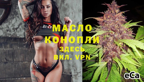 гидра Михайловка