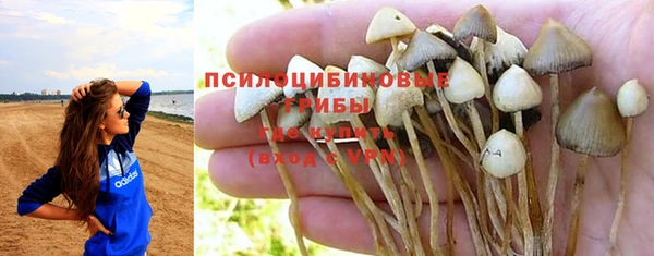 дмт Надым